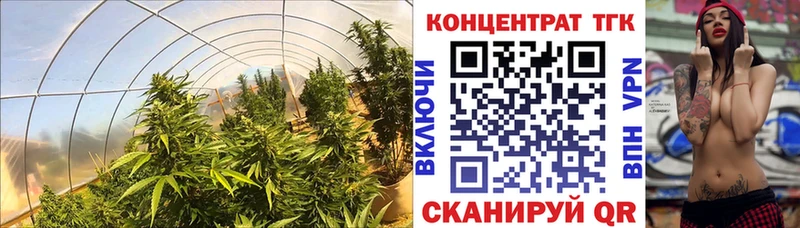 Дистиллят ТГК Wax Купить где Николаевск-на-Амуре